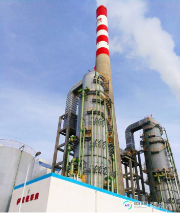 Yanchang China Coal Yulin Energy Chemical Ammonia Desulfurization Project